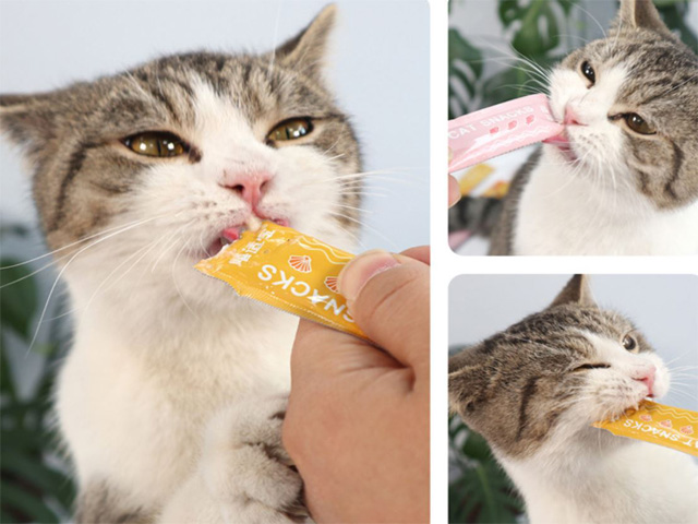 Súp thưởng cho mèo Cat Snack với 3 vị siêu thơm ngon